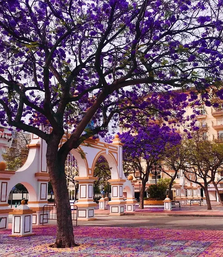 Apartmán Higueronrentals Casa Kiki Màlaga
